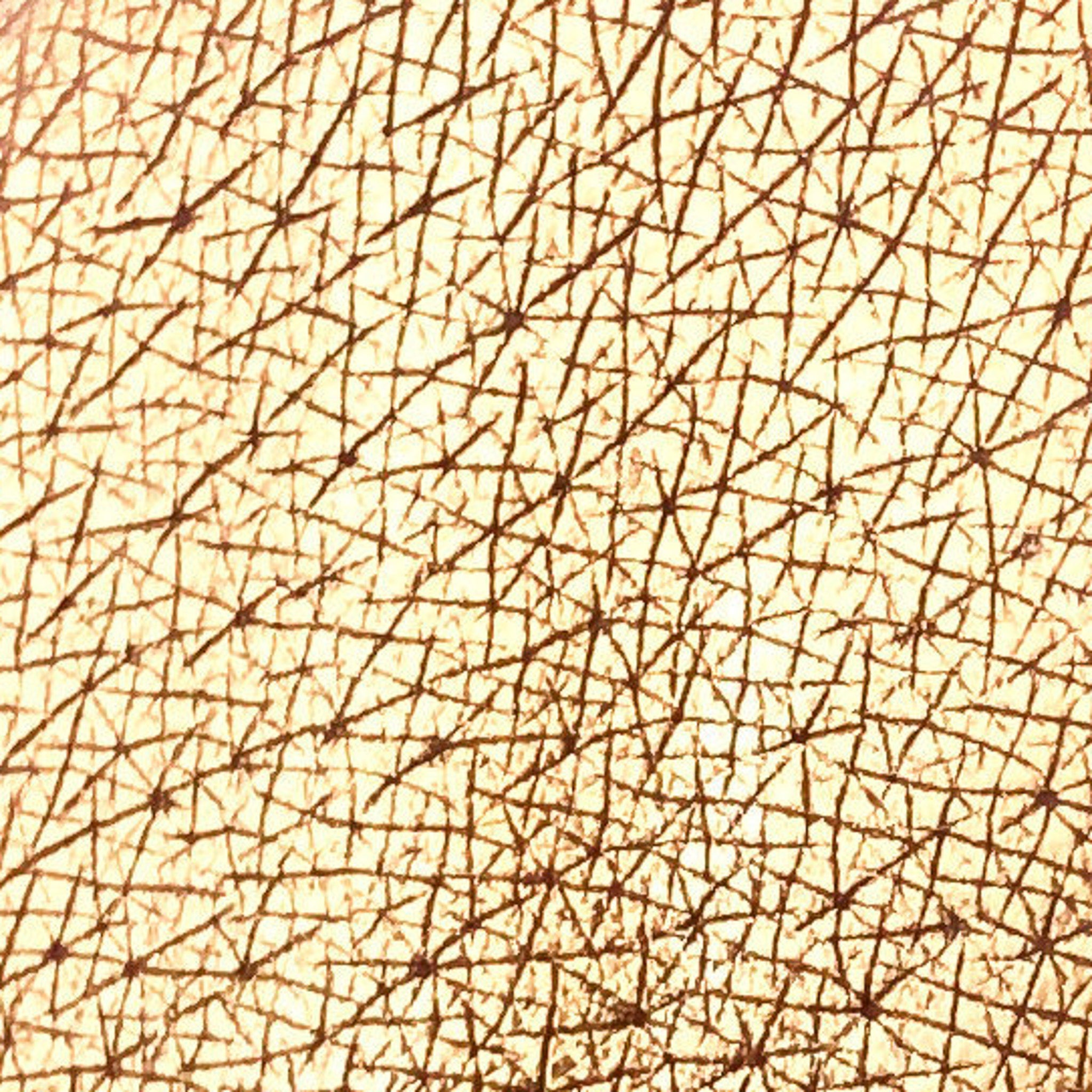 Close-up of Tala BR2 copper eye shadow pigment in a small round pot with metallic sheen