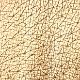 Close-up of Tala BR2 copper eye shadow pigment in a small round pot with metallic sheen