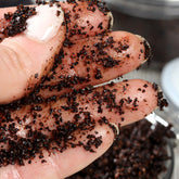 Coffee scrub on fingers, dark brown granules, skin texture visible, used for exfoliation