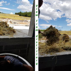 Concrete structure with yellow and green plants, blue sky with clouds, and person working