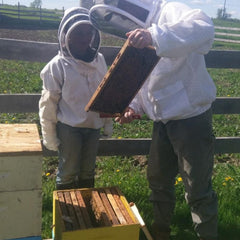 Beekeeping suits white mesh hooded, with beekeeper holding wooden honeycomb frame