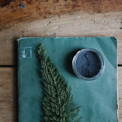 Eye shadow powder in a clear jar, dark blue color, on teal book with greenery