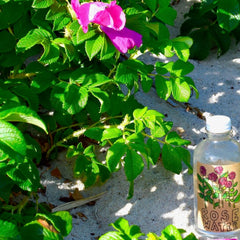Toner: Clear glass bottle with white cap next to green leaves and pink flowers, Plant Makeup Rose Water label