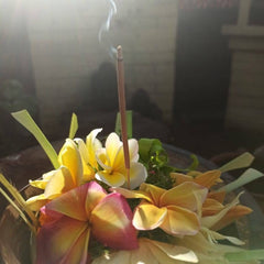 Incense stick with smoke, brown stick, yellow and pink flowers, green leaves, and sunlight