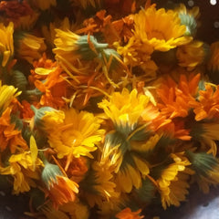 Calendula flowers, bright yellow and orange petals, green stems, in a bowl