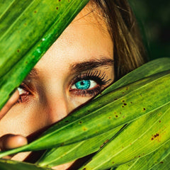 Eye with blue iris and long lashes, framed by green leaves with brown spots