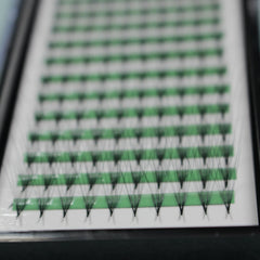 Eyelash extensions with black lashes, green adhesive strip, and white backing for application