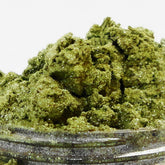 Eyeshadow pale green shimmer powder, close-up view of loose mineral makeup