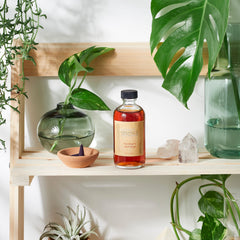 Witch Hazel bottle, amber liquid in glass bottle with label, displayed on wooden shelf with plants