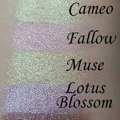 Close-up of matte muted brown plum eyeshadow pan with smooth velvety texture in Tuscan shade