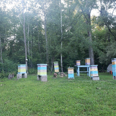 Beehives with pastel colors, stacked boxes, and wooden construction in a grassy field