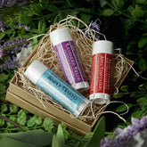 Lip balm gift set with white tubes, colorful labels, and Julian Naturals brand name in a gift box