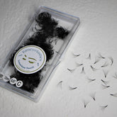 False eyelashes black fans in clear case, Kimeyelashes brand, individual lash clusters