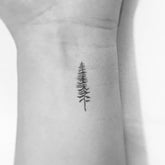 Three pine tree temporary tattoos on clear backing with minimalist black designs for skincare enthusiasts