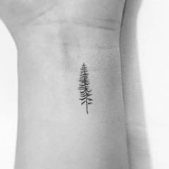 Three pine tree temporary tattoos on clear backing with minimalist black designs for skincare enthusiasts
