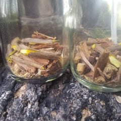 Herbal ingredients in glass jars, brown and yellow wood pieces, clear glass, on dark textured surface
