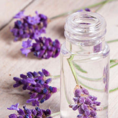 Lavender sprigs with purple flowers, clear glass bottle, on wooden surface
