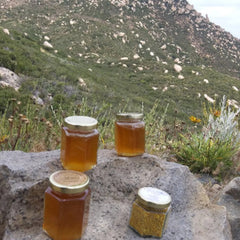 Close-up of golden bee venom serum dropper bottle with royal jelly highlights against marble backdrop