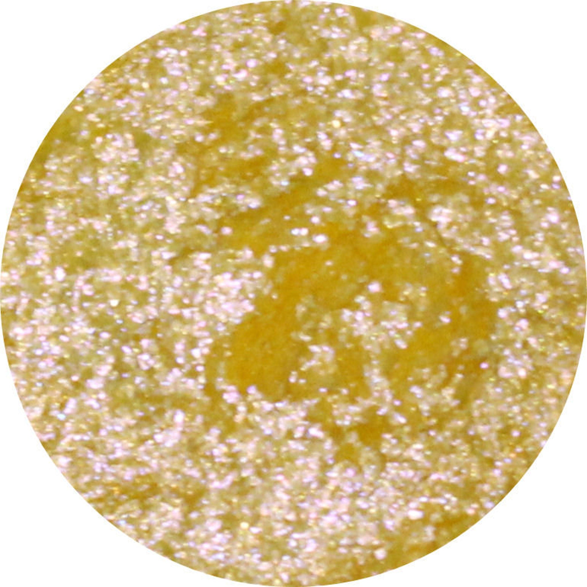 Xray Eyeshadow Palette featuring 12 vibrant matte and shimmer shades in a sleek black compact