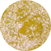 Xray Eyeshadow Palette featuring 12 vibrant matte and shimmer shades in a sleek black compact