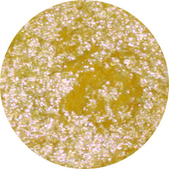 Xray Eyeshadow Palette featuring 12 vibrant matte and shimmer shades in a sleek black compact