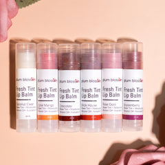 Lip balms in various colors, clear plastic tubes, Plum Blossom Apothecary brand name visible