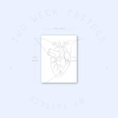 Close-up of semi-permanent heart tattoo set showing intricate anatomical details and realistic shading on skin