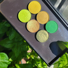 Close-up of six matte green eyeshadow pans in earthy herb shades with smooth pigmented texture