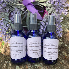Lavender hydrosol bottles, blue glass, clear spray top, Animal Aromatics label, for aromatherapy use