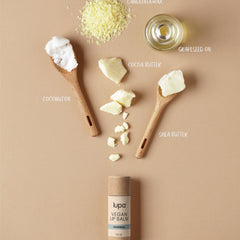 Vegan lip balm ingredients, white and yellow solids, wooden spoons, Lupa brand product on tan background