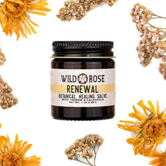 Skin care salve jar, brown glass, black lid, Wild Rose label, surrounded by dried flowers