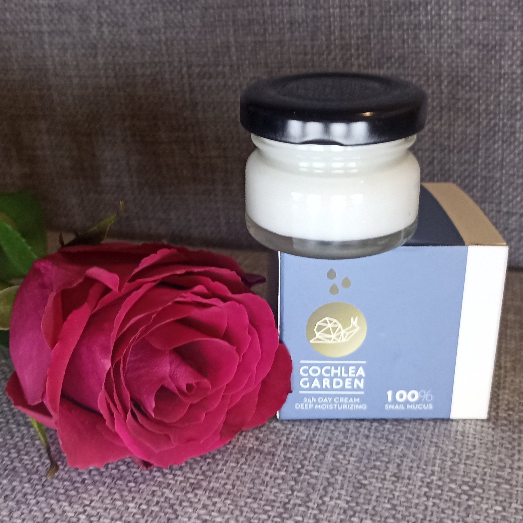 White plastic jar of 24H deep moisturizing day cream with minimalist silver lid and natural extracts label