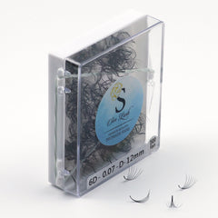 Eyelash extensions in a clear plastic case with black lashes and Sen Lash branding