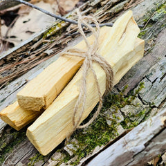 Palo Santo Bundle, light wood sticks tied with twine, on a mossy log
