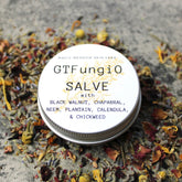 Salve with GTFungiO label, round silver tin, surrounded by colorful dried herbs and flowers