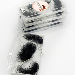 Eyelash extensions in black, stacked in clear plastic cases, Primroselash brand visible