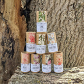 Lip balm set, brown cardboard tubes with floral patterns, Botany Barn Canada brand visible