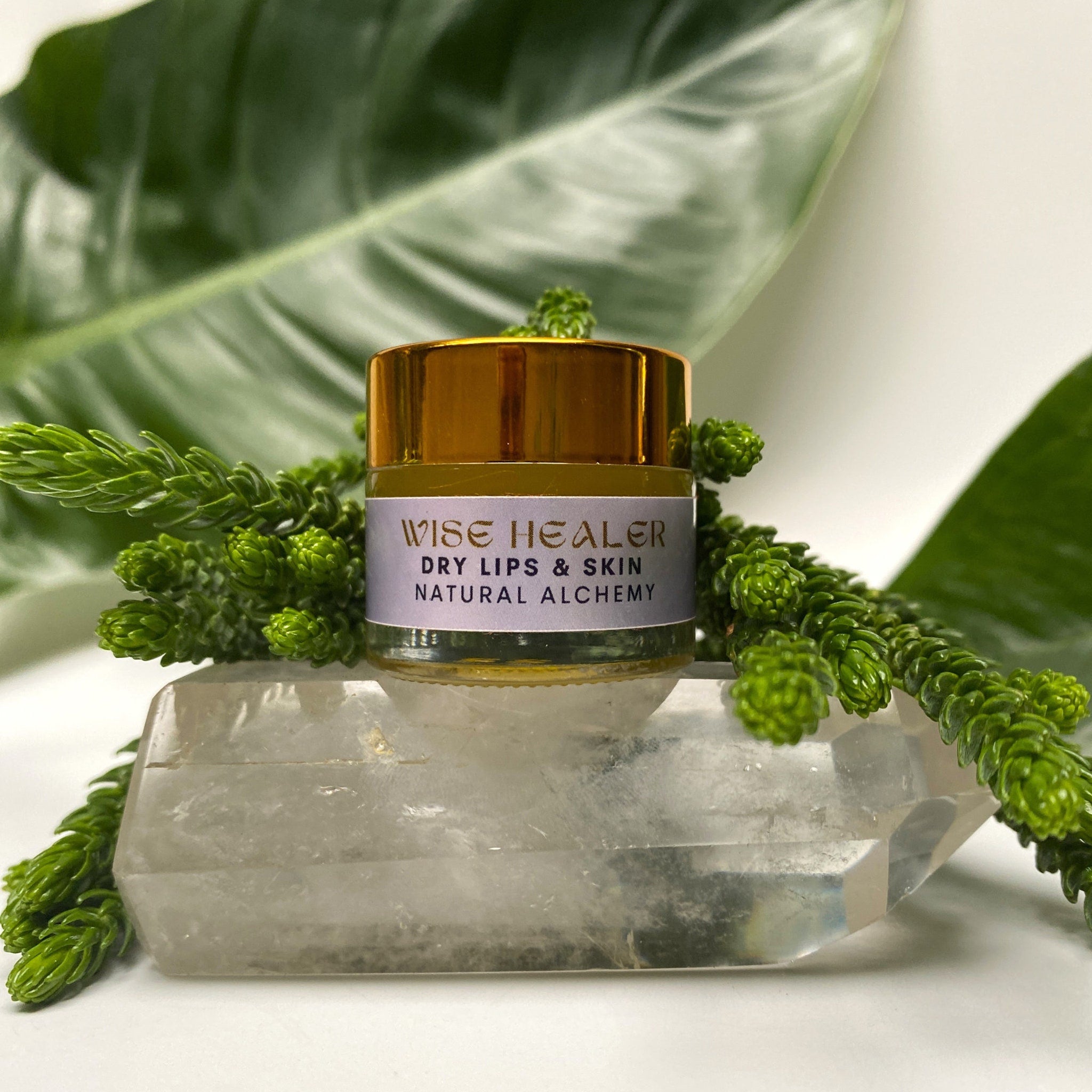 Lip balm jar with gold lid, WISE HEALER label, and green foliage on clear crystal base