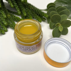 Lip balm jar with yellow balm, glass jar, and open lid with gold rim and white interior