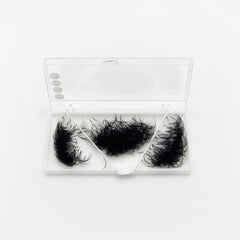 False eyelashes in black synthetic fibers, white case with clear lid, cosmetic product
