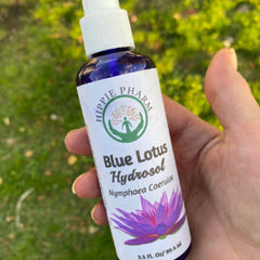 Blue Lotus Hydrosol bottle, blue glass, white label, held in hand, Hippie Pharm brand visible