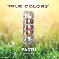 Eye shadow stack with earth tone colors in clear plastic container, True Colors brand