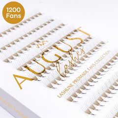 Eyelash extensions with black and brown lashes, white backing, and gold text "August Lashes