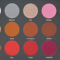 Eyeshadow palette with silver, bronze, and pink circular pans on dark background