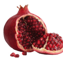 Close-up of smooth, white organic sunscreen with a creamy texture in a sleek, recyclable tube, SPF label visible