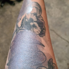 Side view of multichrome eyeshadow palette showing iridescent shift from bronze to green in compact case