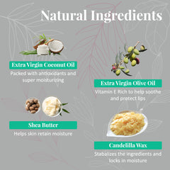 Natural ingredients image with coconut, olive oil, shea butter, and candelilla wax on gray background