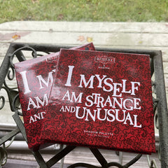 Eyeshadow palette with red lace pattern and white text, Revolution Beetlejuice branding visible
