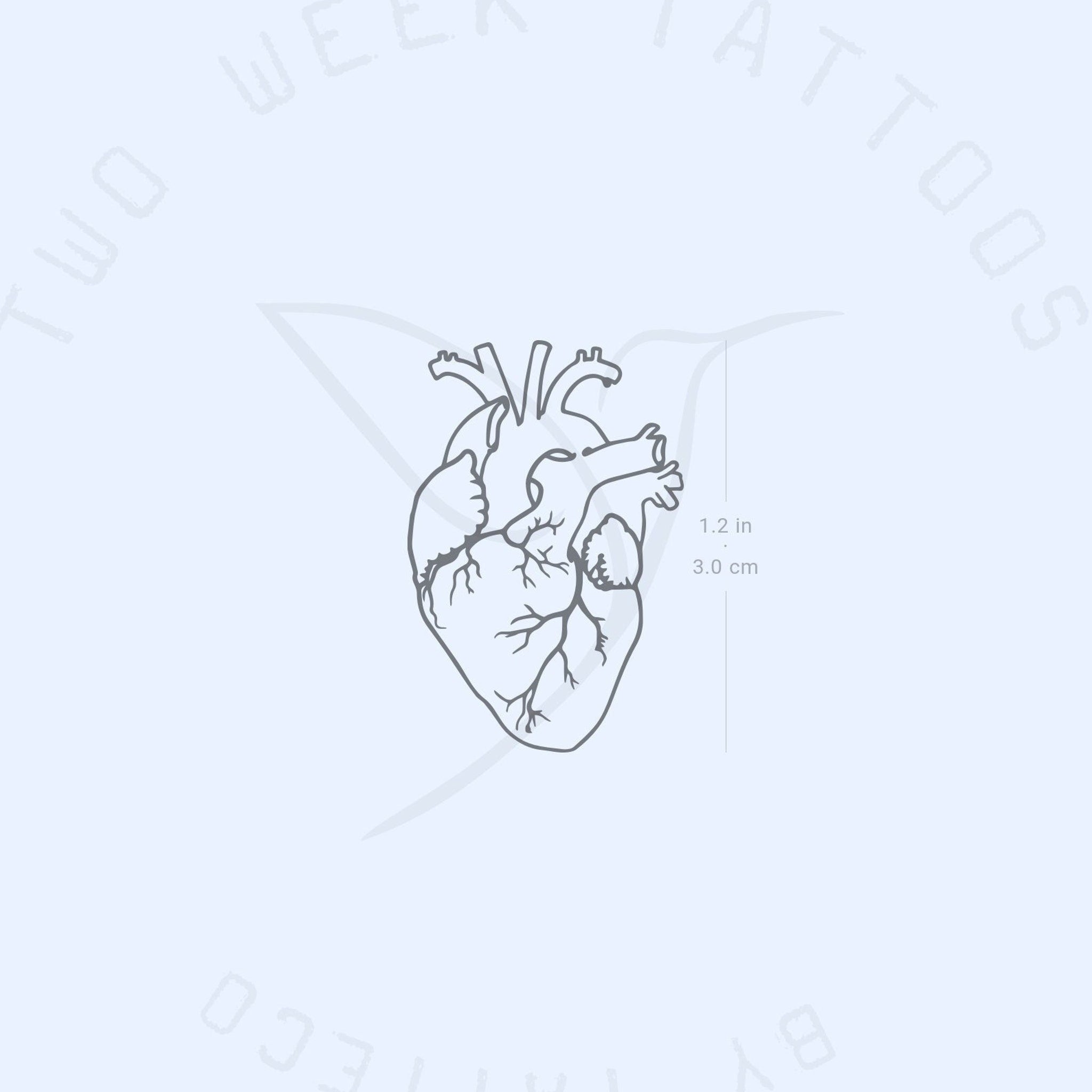 Main product view of 2-Week Semi-Permanent Anatomical Heart Tattoo Set 2 Pack