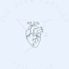 Main product view of 2-Week Semi-Permanent Anatomical Heart Tattoo Set 2 Pack
